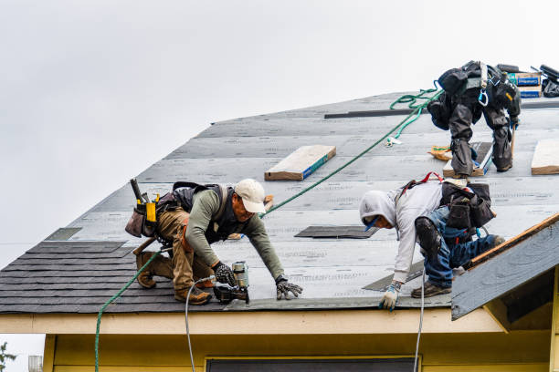 Professional Storm Damage Roof Repair technician working in Viola, NY